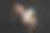 快乐的女商人拿着欧元钞票，孤立在黑色背景上图片下载