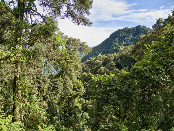 在鲁文佐里山脉徒步旅行四天，到达穆达达瞭望台图片下载
