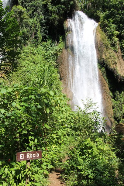 古巴 - 科兰特斯托佩斯 - 瓜纳亚拉公园 （ 热带森林 ）图片下载