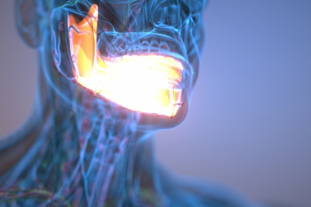 下颌骨x光片图片下载