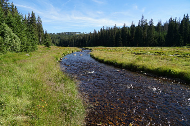 苏玛瓦国家公园，清澈的河水沿着草地和森林蜿蜒流过，捷克共和国莫德拉瓦图片下载