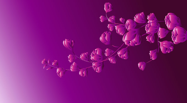 花的背景。美丽的枝头花蕾，手绘。为背景，邀请模板，明信片，网络，美丽的问候图片下载