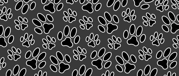 动物脚印黑白背景。爪脚印。矢量插图背景。图片下载