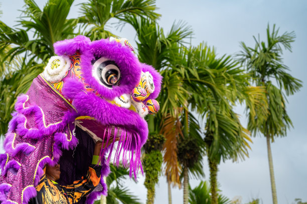 在中国新年庆祝活动中舞狮的照片图片下载