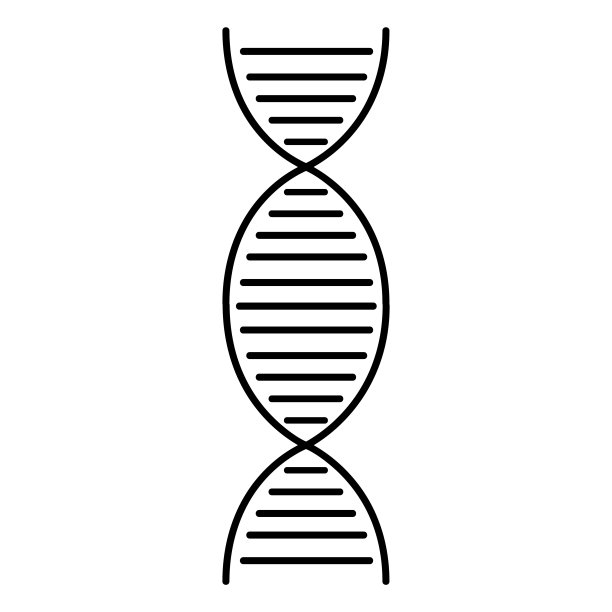 黑色dna链。rna分子的染色体结构图片下载