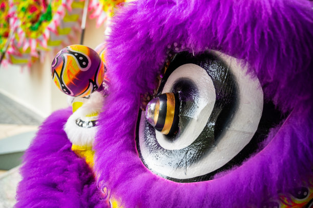 在中国新年庆祝活动中舞狮的照片图片下载