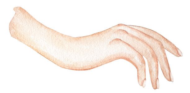 水彩手绘手绘插图。图片下载