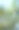 香橙花图片下载