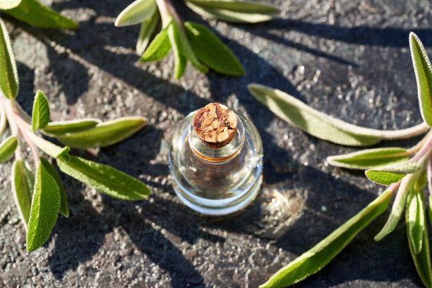 一瓶鼠尾草精油与新鲜鼠尾草树枝在黑暗的背景图片下载