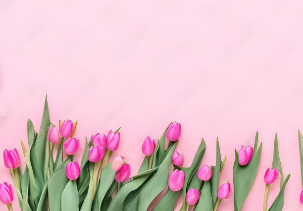 鲜花，红色和玫瑰色，爱的心，情人节，母亲节或3月8日图片下载