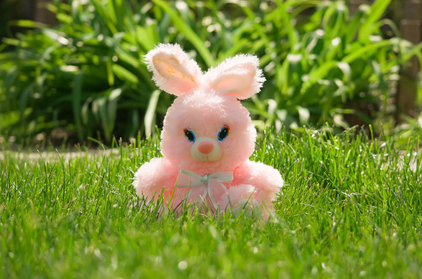 花园里的粉红小兔-复活节卡片图片下载