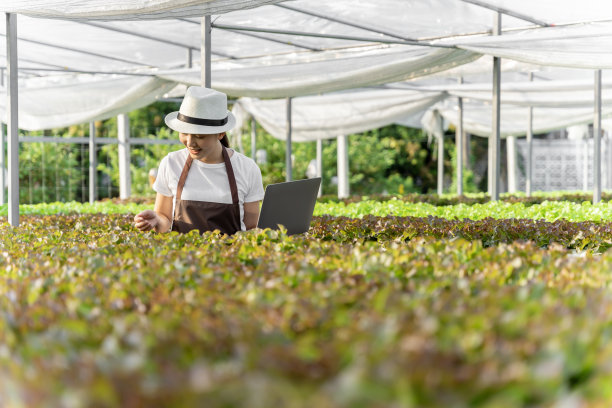 亚洲妇女采摘蔬菜愉快地检查自己的水培蔬菜花园。图片下载