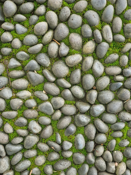 被苔藓包围的小岩石图片下载