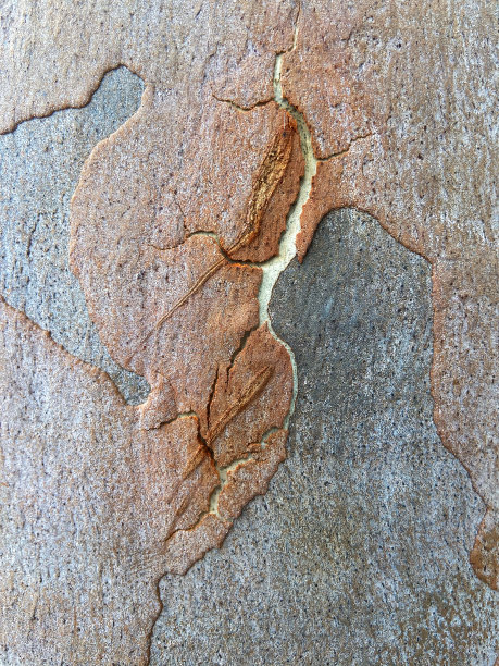 抽象棕色背景图片下载