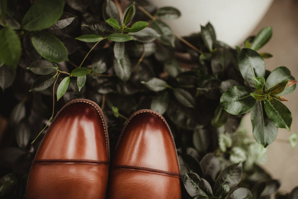 近距离的男人的礼服鞋与绿色图片下载