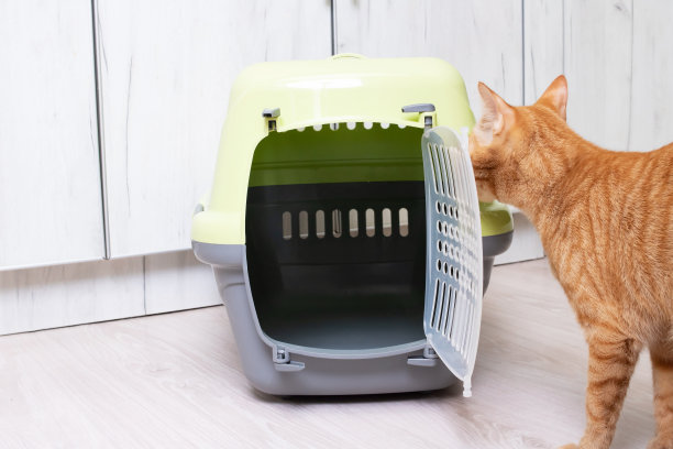 红猫仔细检查塑料载体图片下载