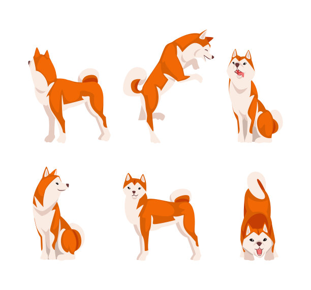 可爱的红白柴犬在不同图片下载