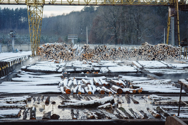 胶合板生产。水热木材加工。冬天的锯木厂。原木材堆叠，准备转化为木材和纸制品图片下载