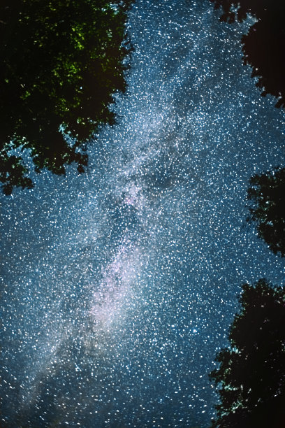 繁星点点的天空穿过树林，树梢间的银河照亮了森林中的小径。星空略显朦胧。永恒与短暂的奇妙结合。奥古斯特图片下载