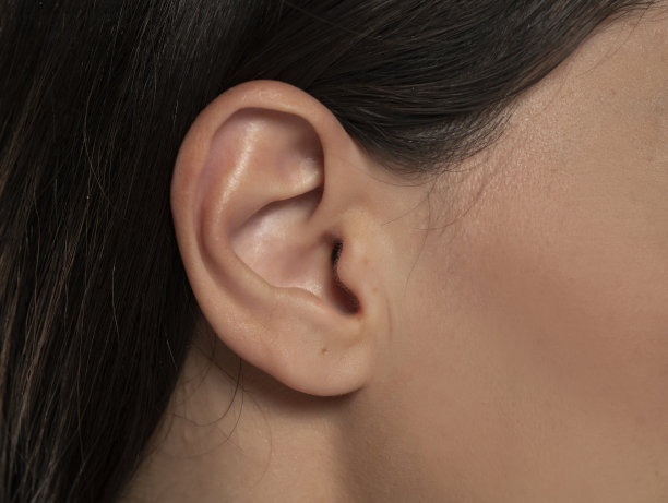 头部的细节与女性人类的耳朵和头发图片下载