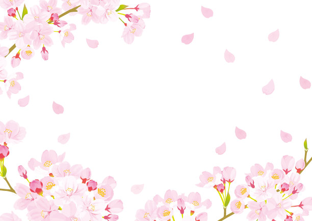 樱花背景的矢量插图图片下载
