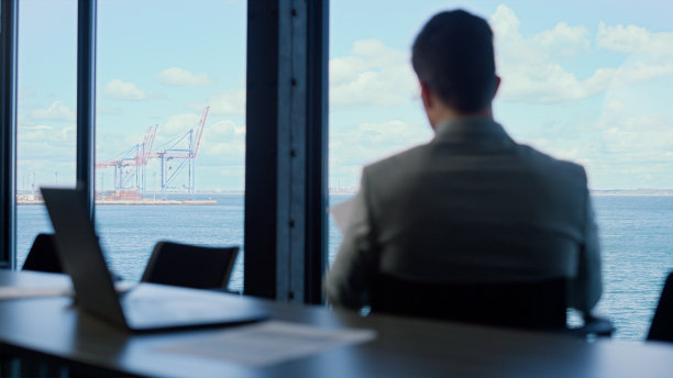 办公室经理在全景窗口后视图检查文件。人阅读图片下载