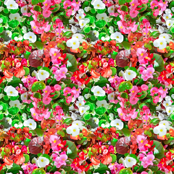 花坛花纹无缝绽放图片下载