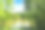 美丽的草沼泽芦苇生长在岸边水库在农村图片下载
