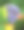 户外彩虹鹦鹉的特写图片下载