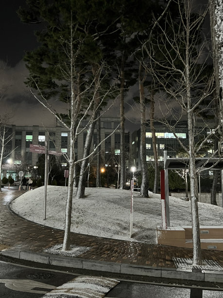 韩国的冬夜图片下载