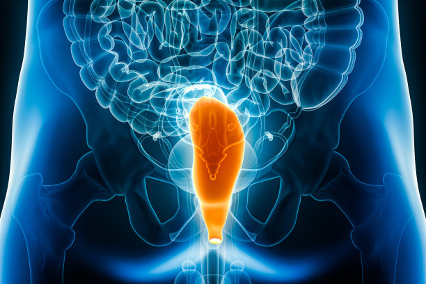 直肠后x线片，部分大肠3D渲染图，男性身体轮廓。人体解剖学，消化系统器官，医学，生物学，科学，保健概念。图片下载