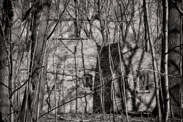 旧的毁灭图片下载