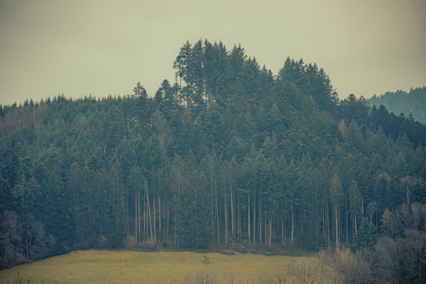 Baden-Württemberg图片下载