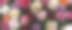 Flowers wall background with amazing red, orange, pink, yellow and purple roses. flower pattern backgrounds. hand made decoration. Mixed colorful flowers background. Vibrant colors of roses mixed. Valentine´s or Mother´s day backgrounds.图片下载