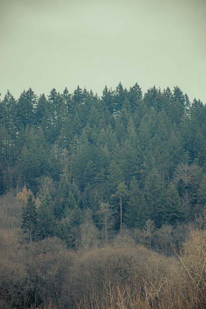 Baden-Württemberg图片下载