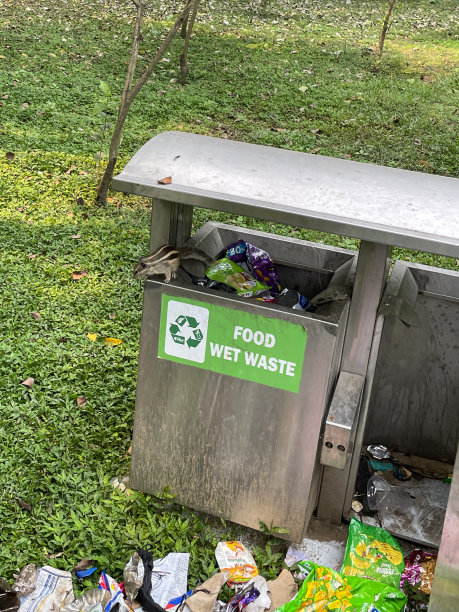 垃圾回收标志的图像上的金属垃圾桶与两个隔间在公园，垃圾箱与黑色聚乙烯垃圾袋里面，溢出垃圾在草坪上，重点在前景图片下载