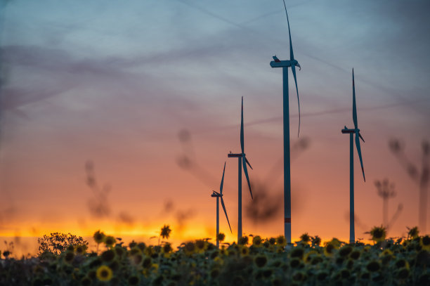 日落时分，向日葵地里的风力涡轮机图片下载