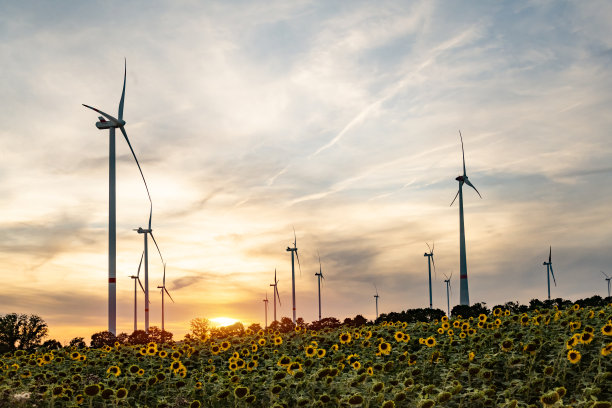 日落时分，向日葵地里的风力涡轮机图片下载