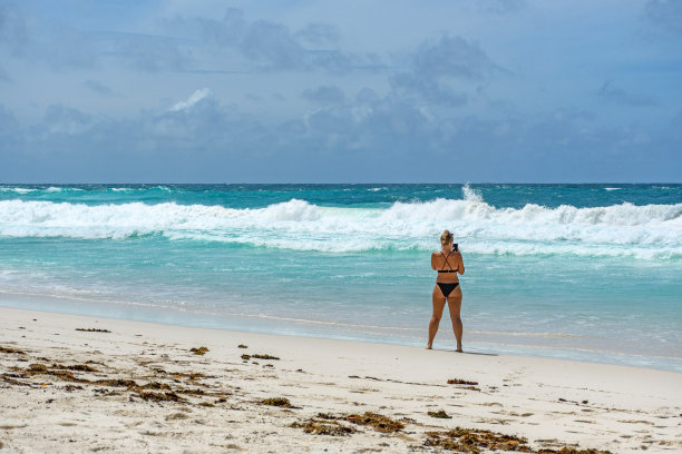 性感的年轻女子穿着黑色比基尼的后视图，拍摄热带海滩，大海和海浪的照片图片下载