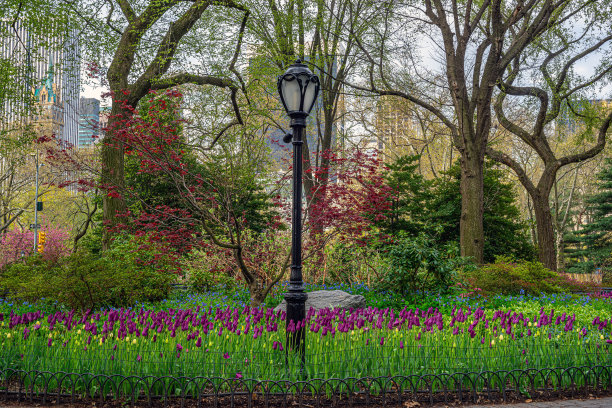 中央公园和购物中心图片下载