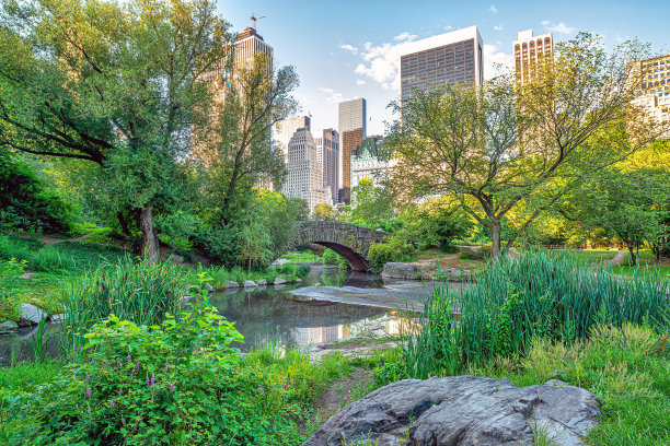 中央公园的加普斯托桥图片下载