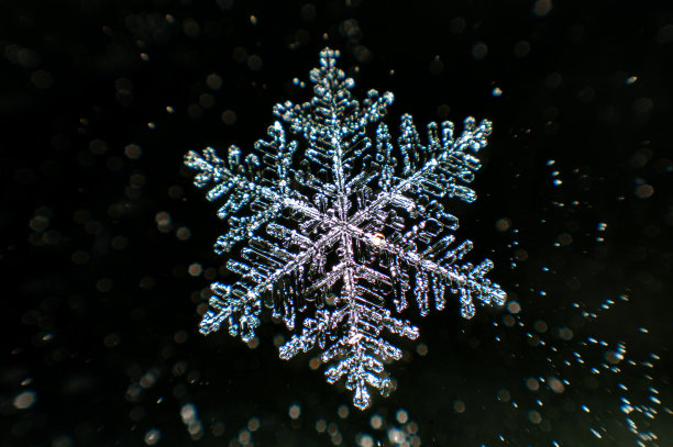 雪花-蕨类恒星树突类型图片下载