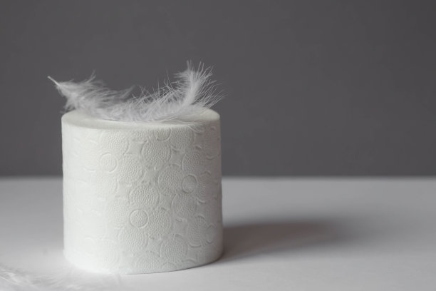 卫生纸卷有蓬松的羽毛，卫生的3层卫生纸。皮肤柔软柔嫩。图片下载
