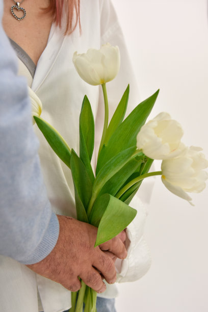 一对恋人捧着一束白色背景的郁金香。表达爱的概念。本空间图片下载