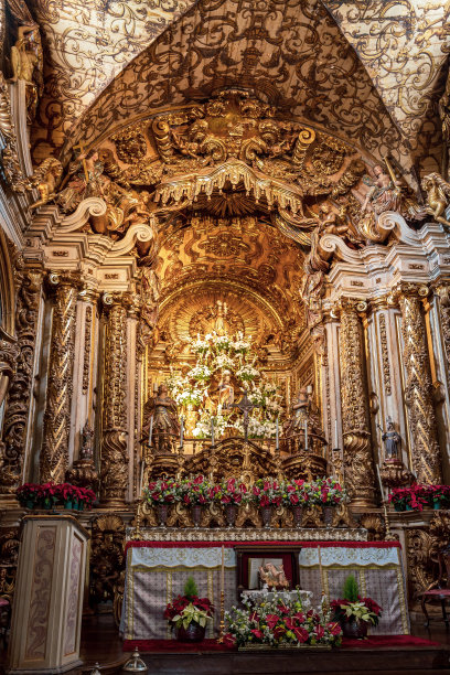 巴西米纳斯吉拉斯州Tiradentes:圣安东尼奥教堂内的街道图片下载