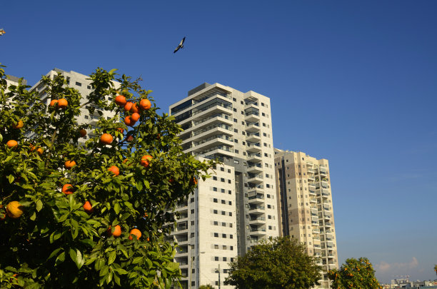 住宅区，高层现代公寓楼，建筑起重机图片下载