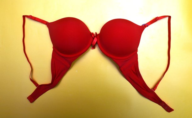 内衣文胸图片下载