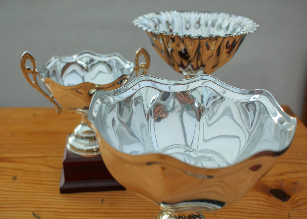 获胜者将获得奖杯图片下载