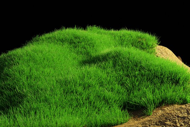 绿色草地，逼真的天然草甸，可供设计等。明亮的3d插图渲染。郁郁葱葱的草甸背景。鲜绿的草图片下载