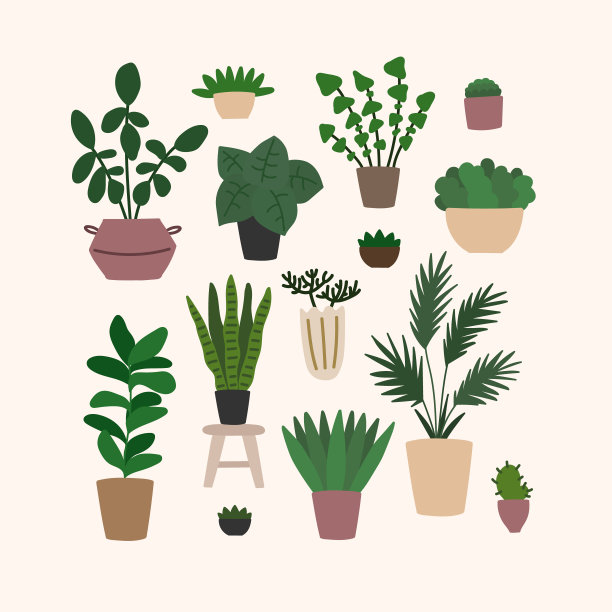 矢量平面插图与家庭植物图片下载